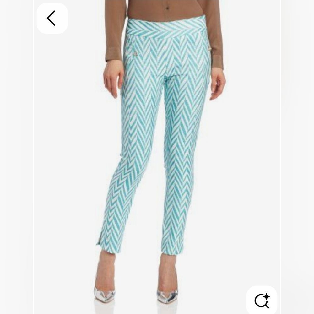 Eva Franco Anthropologie Blue and White Chevron Pattern Pants Size 4